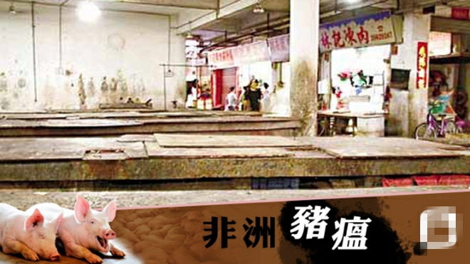 ���������������� �г���ͣ���� ���������Ŷӷ���