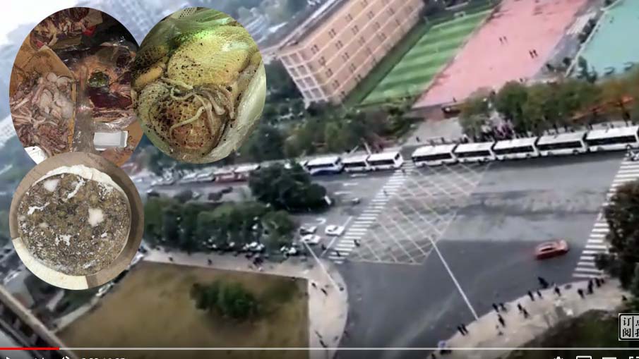 [圖]